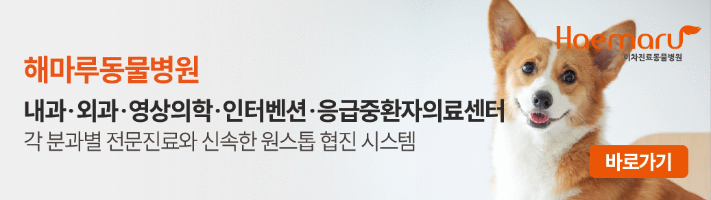 해마루동물병원 배너