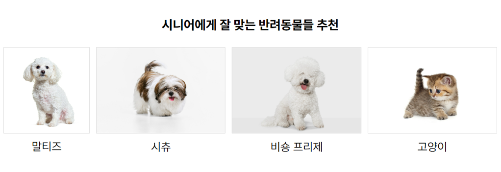 강아지와 고양이 추천
