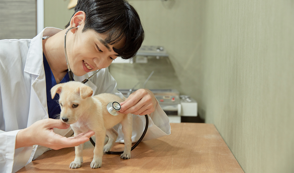 정기적인 건강 검진