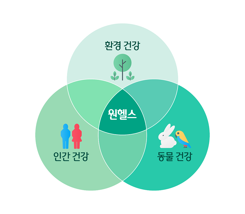 원헬스(One Health), 인간, 동물, 환경의 건강은
하나로 연결되어 있다?