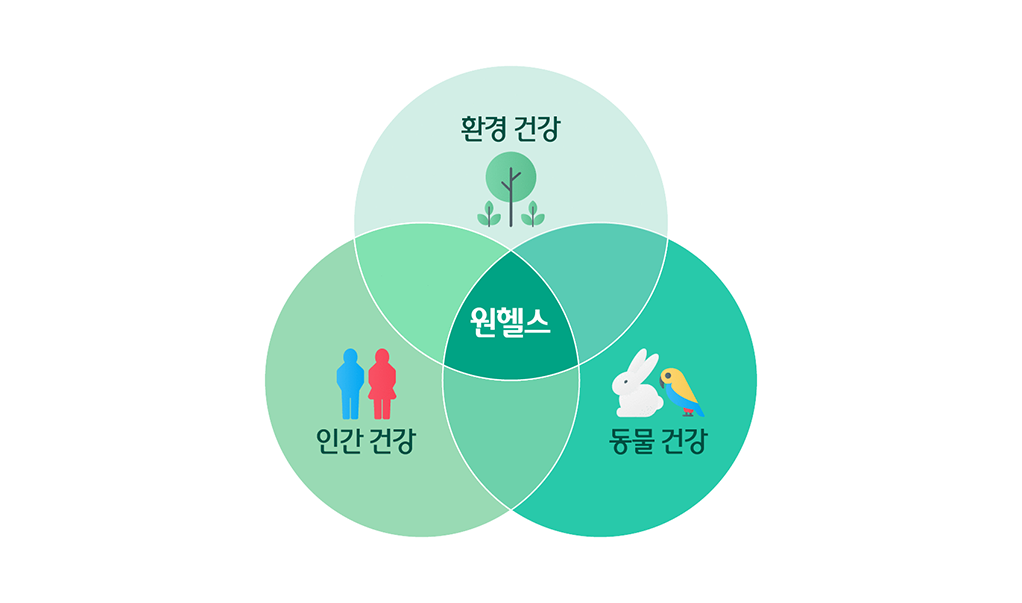원헬스(One Health), 인간, 동물, 환경의 건강은
하나로 연결되어 있다?