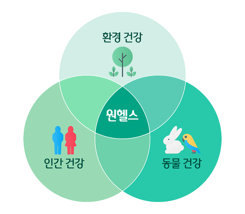 원헬스(One Health), 인간, 동물, 환경의 건강은
하나로 연결되어 있다?