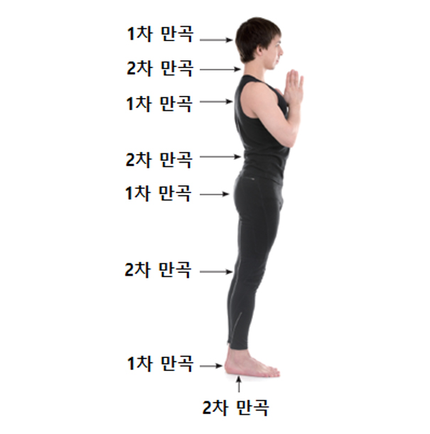 신체 만곡