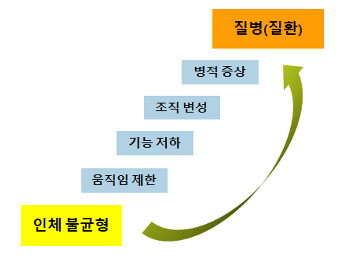 인체불균형에서 질환으로 이어지는 그래프